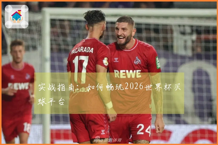 实战指南：如何畅玩2026世界杯买球平台