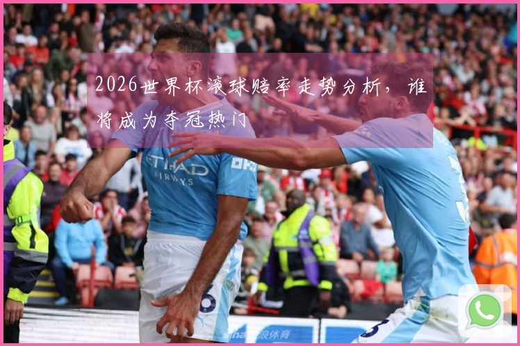 2026世界杯滚球赔率走势分析，谁将成为夺冠热门