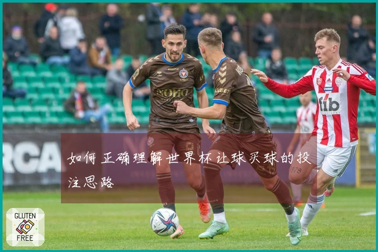 如何正确理解世界杯让球买球的投注思路