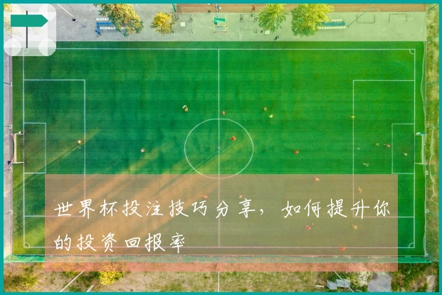 世界杯投注技巧分享，如何提升你的投资回报率