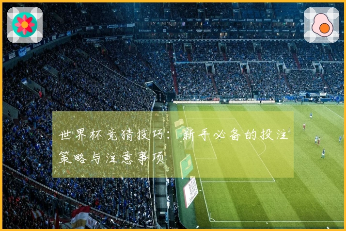 世界杯竞猜技巧：新手必备的投注策略与注意事项