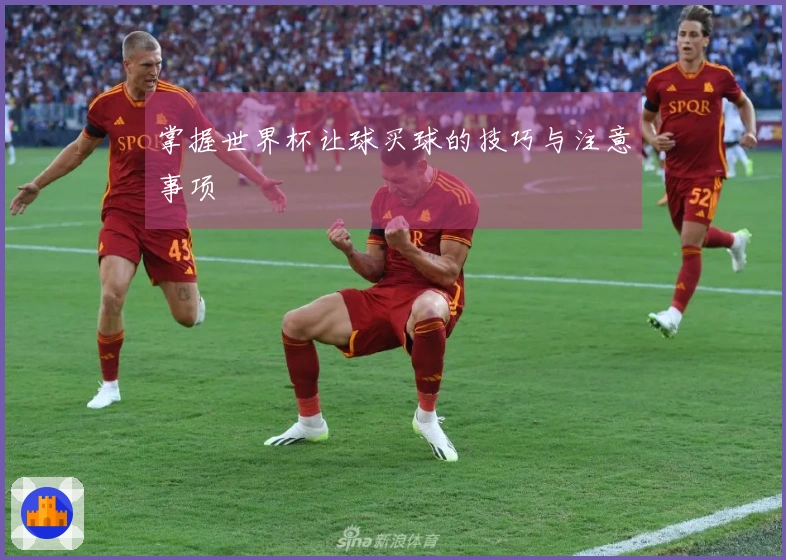 掌握世界杯让球买球的技巧与注意事项